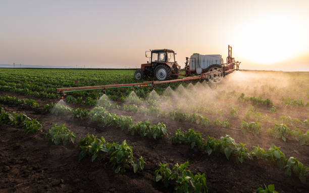 Professional Pest Control in Waterman, IL