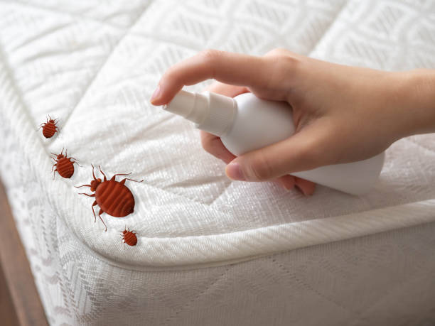 Best Affordable Pest Control Services  in Waterman, IL