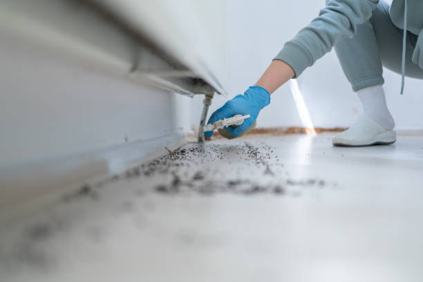 Best Pest Prevention Services  in Waterman, IL